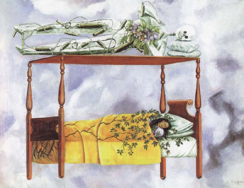 Frida Kahlo the dream oil painting picture
